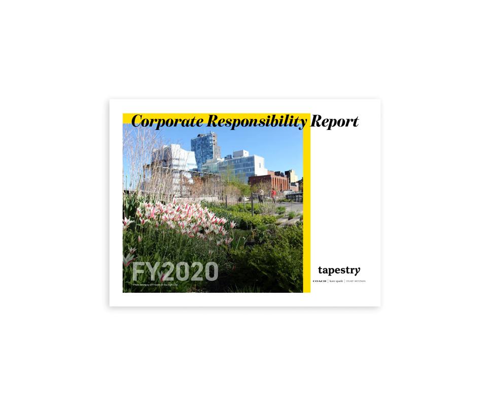 FY20 CR Report & Frameworks